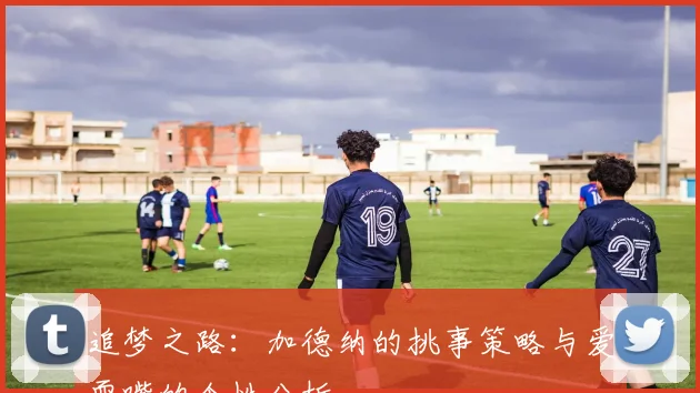 追梦之路：加德纳的挑事策略与爱耍嘴的个性分析